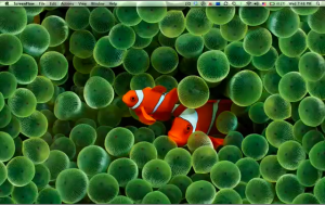 screenshot_031